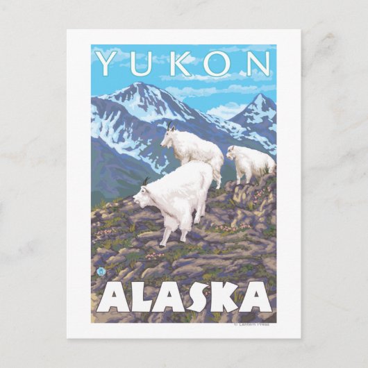 Bergziegen-Szene - Yukon, Alaska Postkarte (Vorderseite)