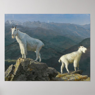 Bergziegen von Albert Bierstadt Druck Poster