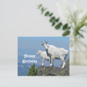Bergziegen Weiße Wildtiere Foto Geburtstag Postkarte (Stehend Vorderseite)