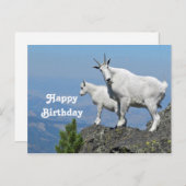 Bergziegen Weiße Wildtiere Foto Geburtstag Postkarte (Vorne/Hinten)