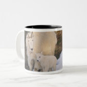 Bergziegen Zweifarbige Tasse (Vorderseite Links)