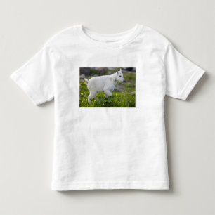 Bergziegenjunges am Logan Pass im Glacier Kleinkind T-shirt