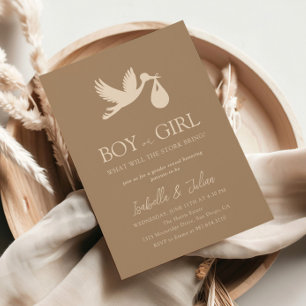 Bericht über Baby Delivery Boy oder Girl Gender Einladung