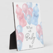 Bericht über Babyflaschen und Balloons Geschlecht Fotoplatte (Seite)