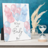 Bericht über Babyflaschen und Balloons Geschlecht Fotoplatte (Seite)