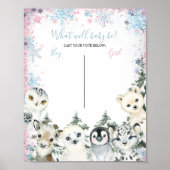 Bericht über das Geschlecht von Winterjungen oder  Poster (Vorne)