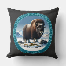 Bering Land Bridge Nationalpark Alaska