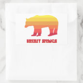 Berkeley Springs West Virginia Rainbow Bear Rechteckiger Aufkleber (Tasche)