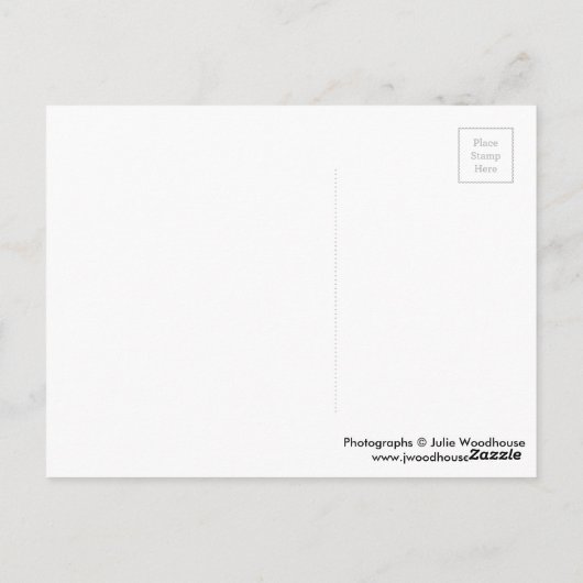 Berlin nachts postkarte (Rückseite)