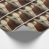 Berliner Shortface Pigeon Geschenkpapier (Ecke)