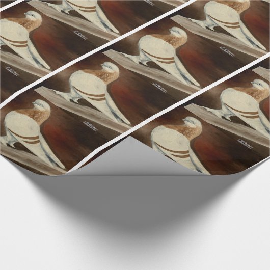 Berliner Shortface Pigeon Geschenkpapier (Ecke)