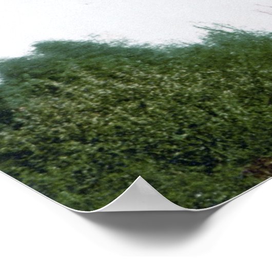 Berliner Siegessäule Poster (Ecke)