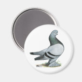 Berliner Tumbler Blue Bar Magnet (Vorderseite/Rückseite)