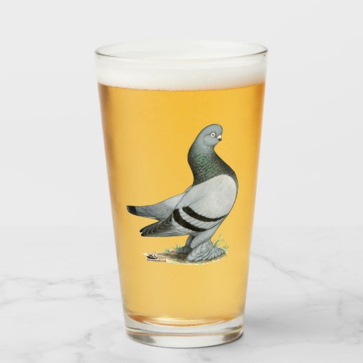 Berliner Tumbler Pigeon Blue Bar (Vorne (Gefüllt))