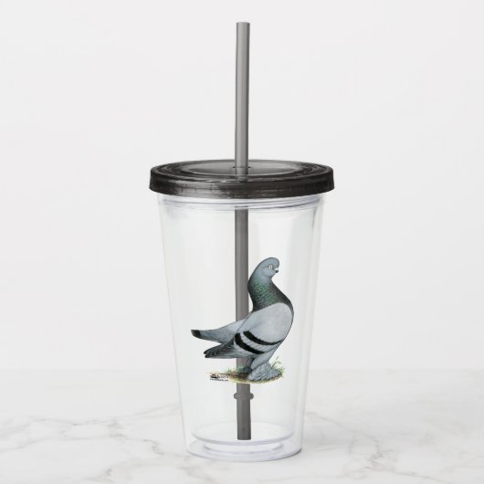 Berliner Tumbler Pigeon Blue Bar Acryltrinkbecher (Vorderseite)
