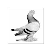 Berliner Tumbler Pigeon Blue Bar Gummistempel (Prägung)