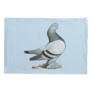 Berliner Tumbler Pigeon Blue Bar Kissenbezug