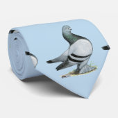 Berliner Tumbler Pigeon Blue Bar Krawatte (Gerollt)