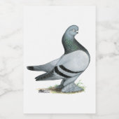 Berliner Tumbler Pigeon Blue Bar Lebensmitteletikett (Einzelnes Label)