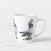 Berliner Tumbler Pigeon Blue Bar Milchtasse (Rechts)