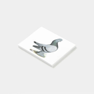 Berliner Tumbler Pigeon Blue Bar Post-it Klebezettel