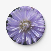 Berlinette Pappteller (Vorderseite)