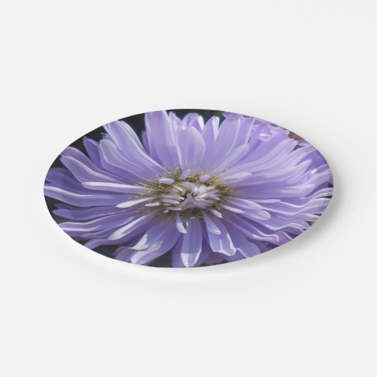 Berlinette Pappteller (Schrägansicht)