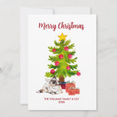 Berman Cat Family Christmas Feiertagskarte (Vorderseite)