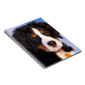 Bermese Mountain Dog Notizblock (Rechte Seite)