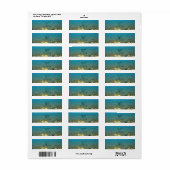 Bermuda Blue Green Waters (Vorne)