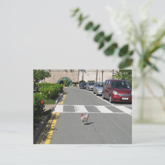 BERMUDA CHICKEN POSTKARTE (Stehend Vorderseite)