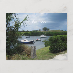 Bermuda Cove Postkarte