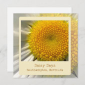 Bermuda Daisy Flat Card Feiertagskarte (Vorne/Hinten)