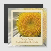 Bermuda Daisy Magnetkarte (Vorne/Hinten)