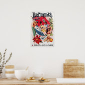 Bermuda Kunst Daniel Sweeney Druck Delta Airlines  Poster (Küche)