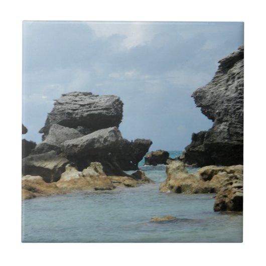 Bermuda-Küstenlinie Fliese (Vorderseite)