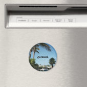 Bermuda Magnet (In Situ (Geschirrspüler))