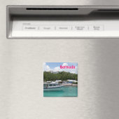 Bermuda-Magnet Magnet (In Situ (Geschirrspüler))