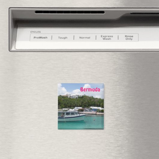 Bermuda-Magnet Magnet (In Situ (Geschirrspüler))