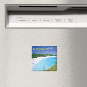 Bermuda-Magnet Magnet (In Situ (Geschirrspüler))