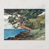 Bermuda Ocean Landscape Winslow Homer Postkarte (Vorderseite)
