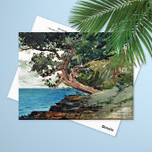 Bermuda Ocean Landscape Winslow Homer Postkarte
