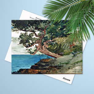 Bermuda Ocean Landscape Winslow Homer Postkarte