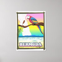 Bermuda Paraside