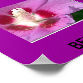 BERMUDA POSTER (Ecke)