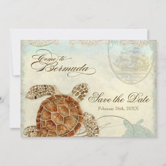 Bermuda Sea Turtle Moderner Küstenstrand Save The Date (Rückseite)