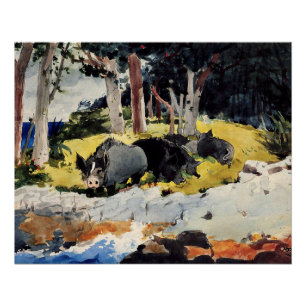 Bermuda-Siedler, ein Gemälde von Winslow Homer, Poster