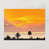 Bermuda Sunset Postcard Postkarte (Vorderseite)