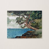 Bermuda Watercolor Malerei Winslow Homer Puzzle (Horizontal)