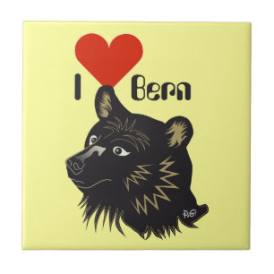 Bern Berne Berna Schweiz Suisse Fliese